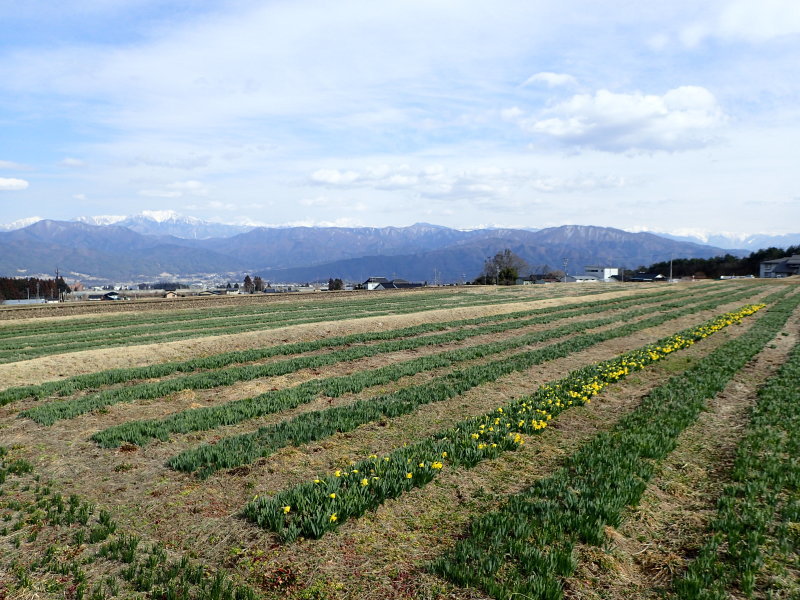 f0350468_15301868.jpg