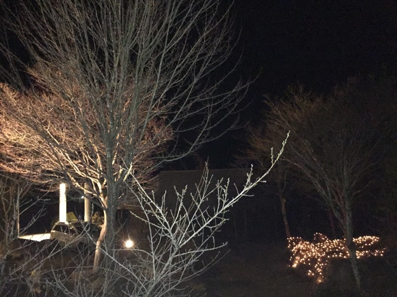 f0350468_16280799.jpg