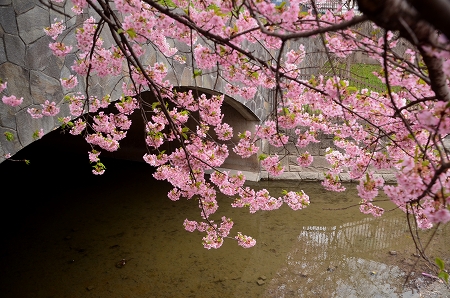 c0229483_9255849.jpg