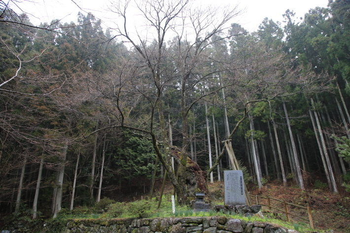 c0358784_12491630.jpg
