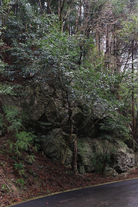c0358784_12514389.jpg