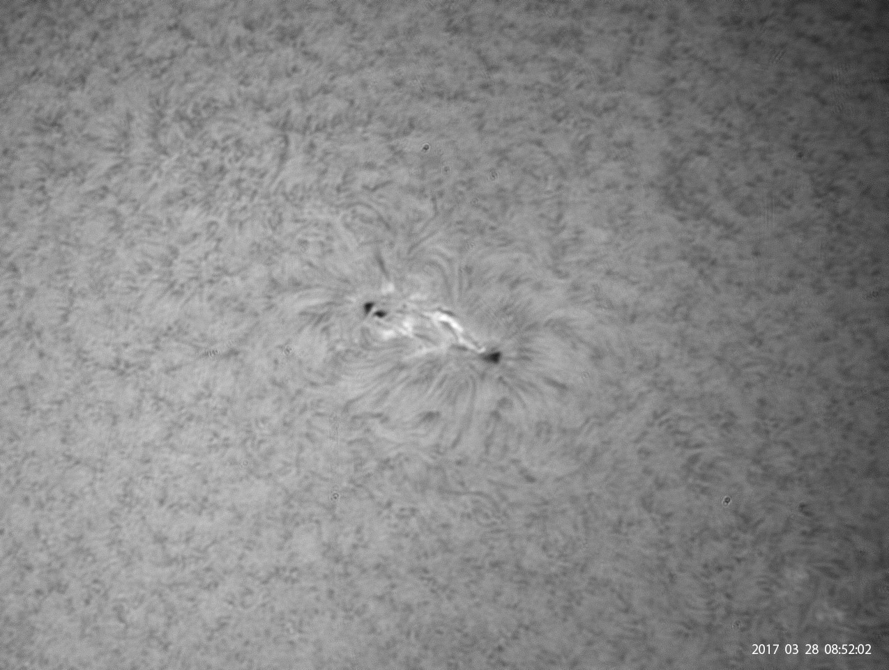 3月28日の太陽_e0174091_14345705.jpg