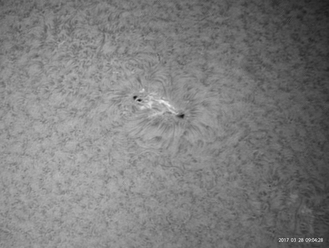 3月28日の太陽_e0174091_14350355.jpg