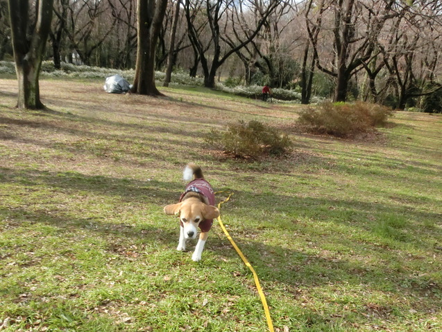 頂き物で家呑み！_a0319693_7492273.jpg