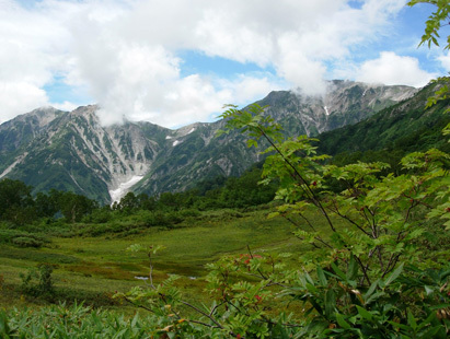 d0129295_15075419.jpg
