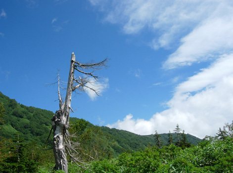 d0129295_15083499.jpg