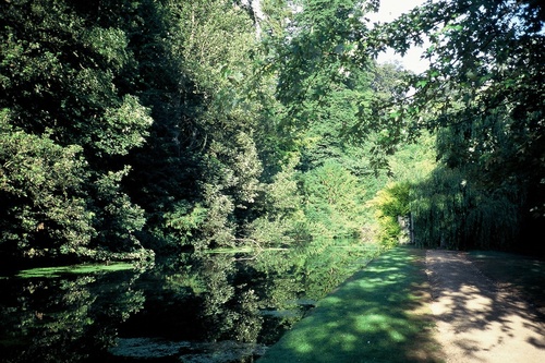 e0309501_14292025.jpg