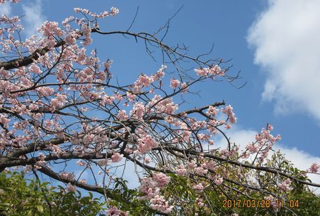 a0276402_15144849.jpg