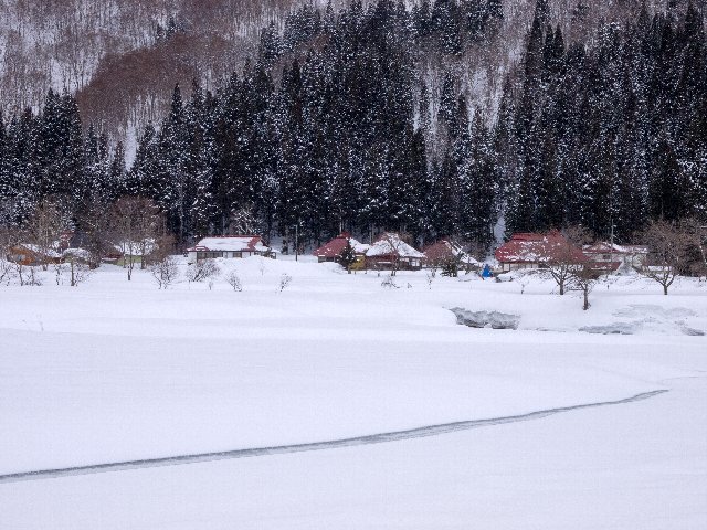 c0008502_7425940.jpg