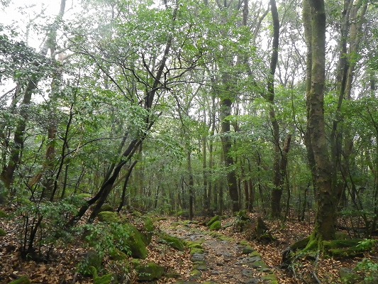 f0187402_18132735.jpg
