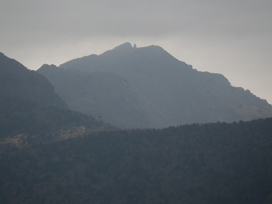 f0187402_18155136.jpg