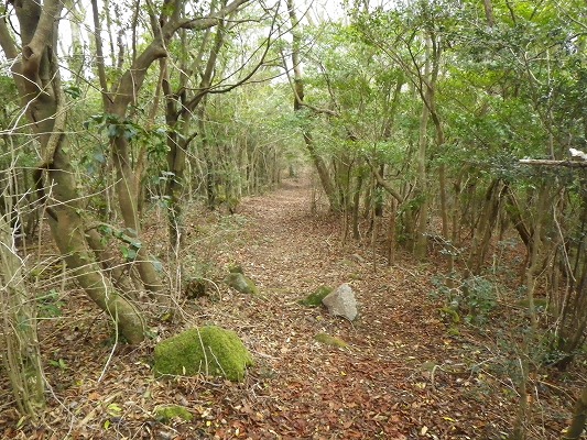 f0187402_1816286.jpg