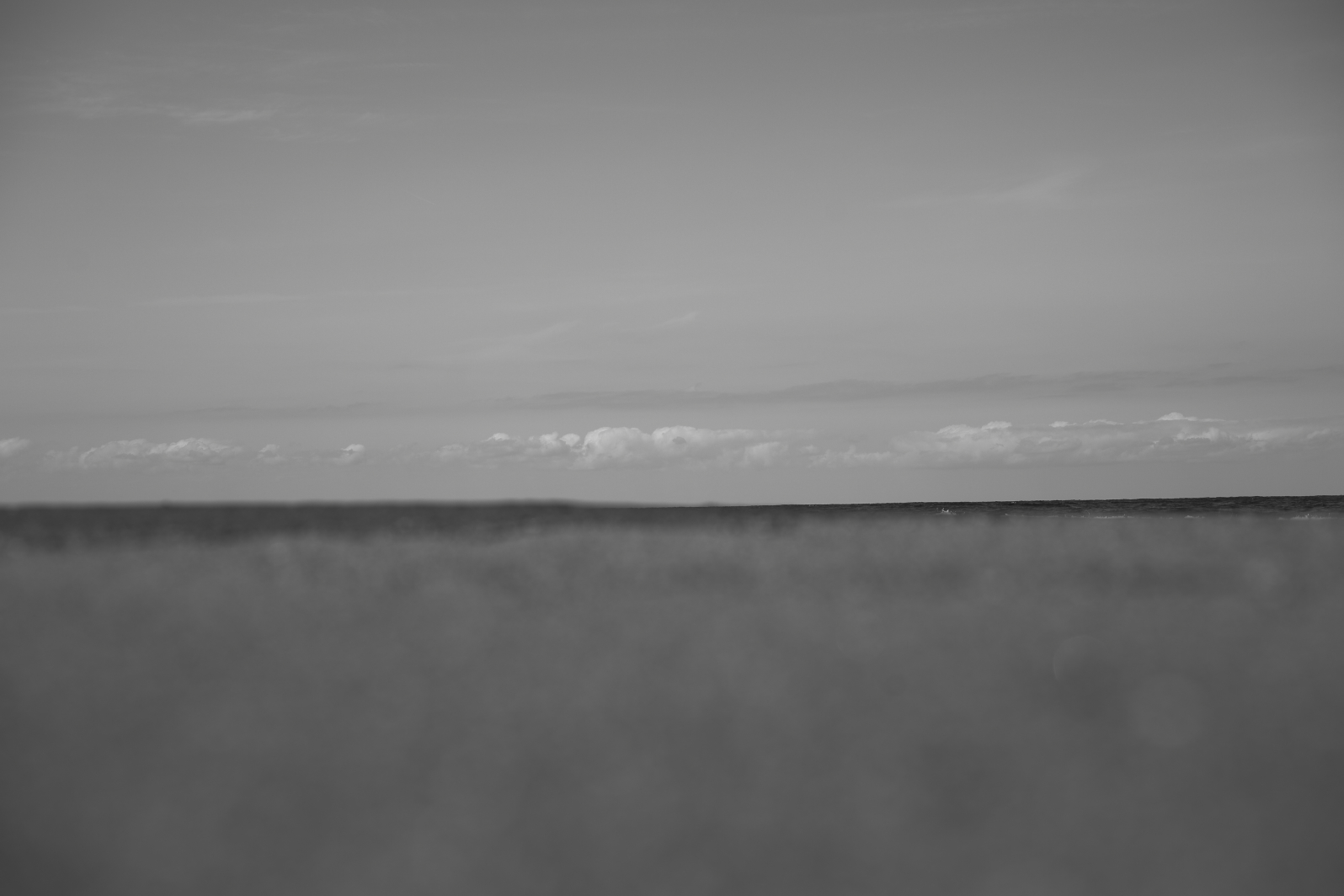 a0155104_18045048.jpg