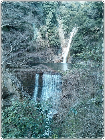 c0149408_14142655.jpg