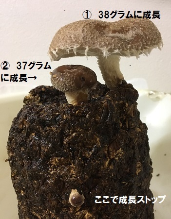 f0162908_22321831.jpg