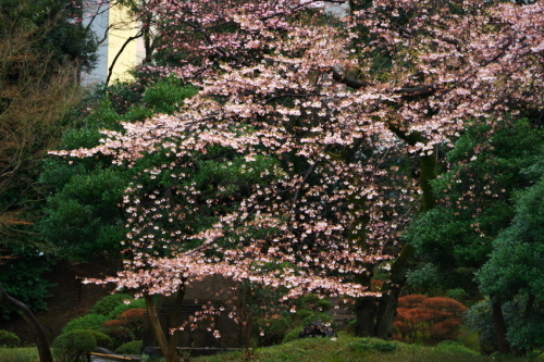 a0263109_12585523.jpg