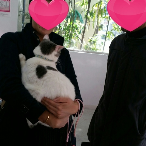 e0144012_10331729.jpeg