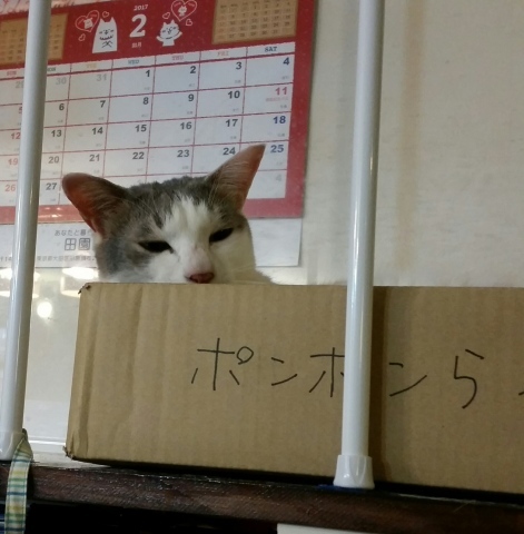 e0144012_10443394.jpeg