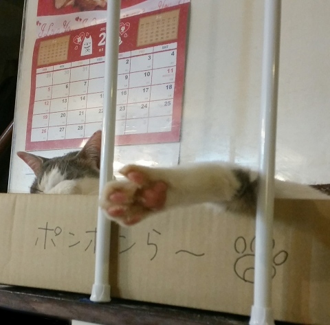 e0144012_10455938.jpeg