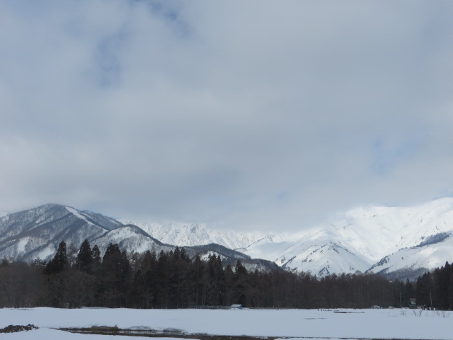 d0351213_19183587.jpg