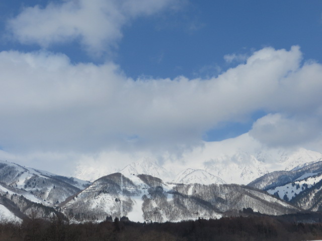 d0351213_637542.jpg