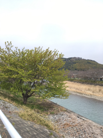 d0255514_12461528.jpg
