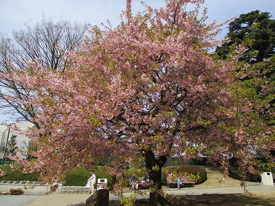 e0373815_12121604.jpg