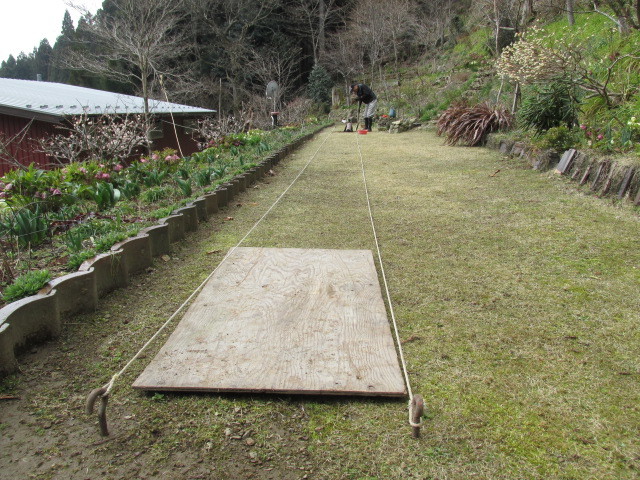 f0341616_16012827.jpg