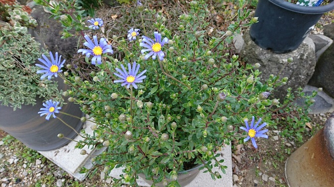 f0228619_1731304.jpg