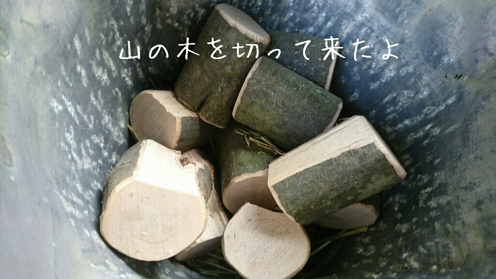 b0187620_19060033.jpg