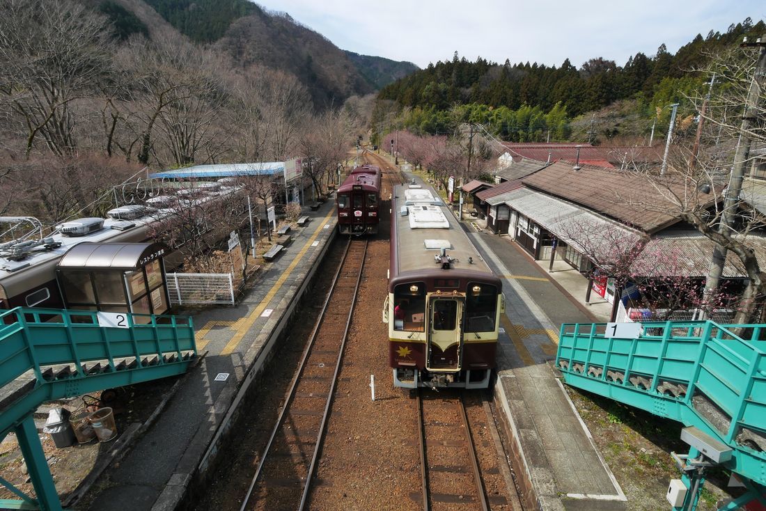 渡良瀬渓谷鐡道・・・&#127800;花桃&#127800;の進行状況ロケハン_a0031821_18014263.jpg