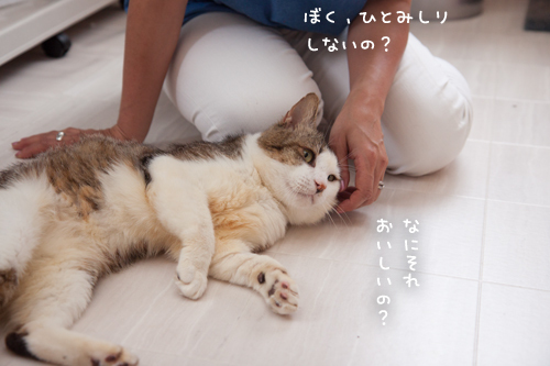 ひとなつっこさ200%_d0355333_15224407.jpg