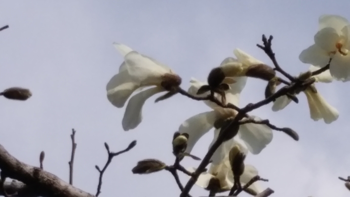 a0054240_20305725.jpg