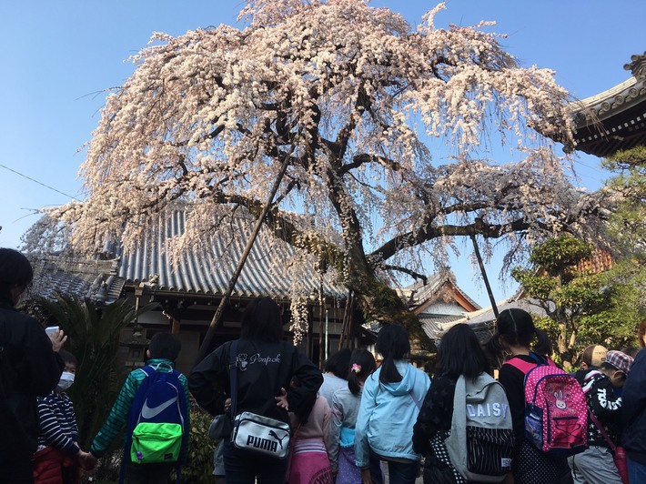 城下町散策・・・・お疲れ様_f0065444_18415865.jpg