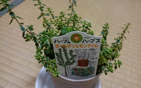 c0145449_22434501.jpg