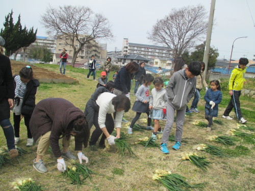 玉ねぎの収穫と反省会_f0079749_21443957.jpg