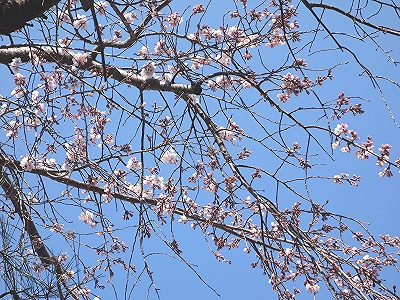 e0012055_0263995.jpg