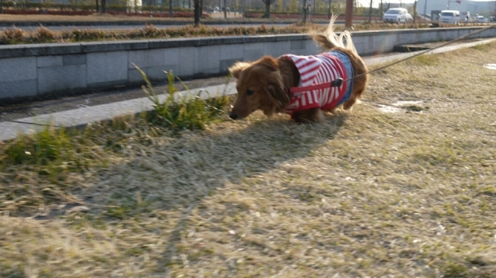 c0220065_00014624.jpg