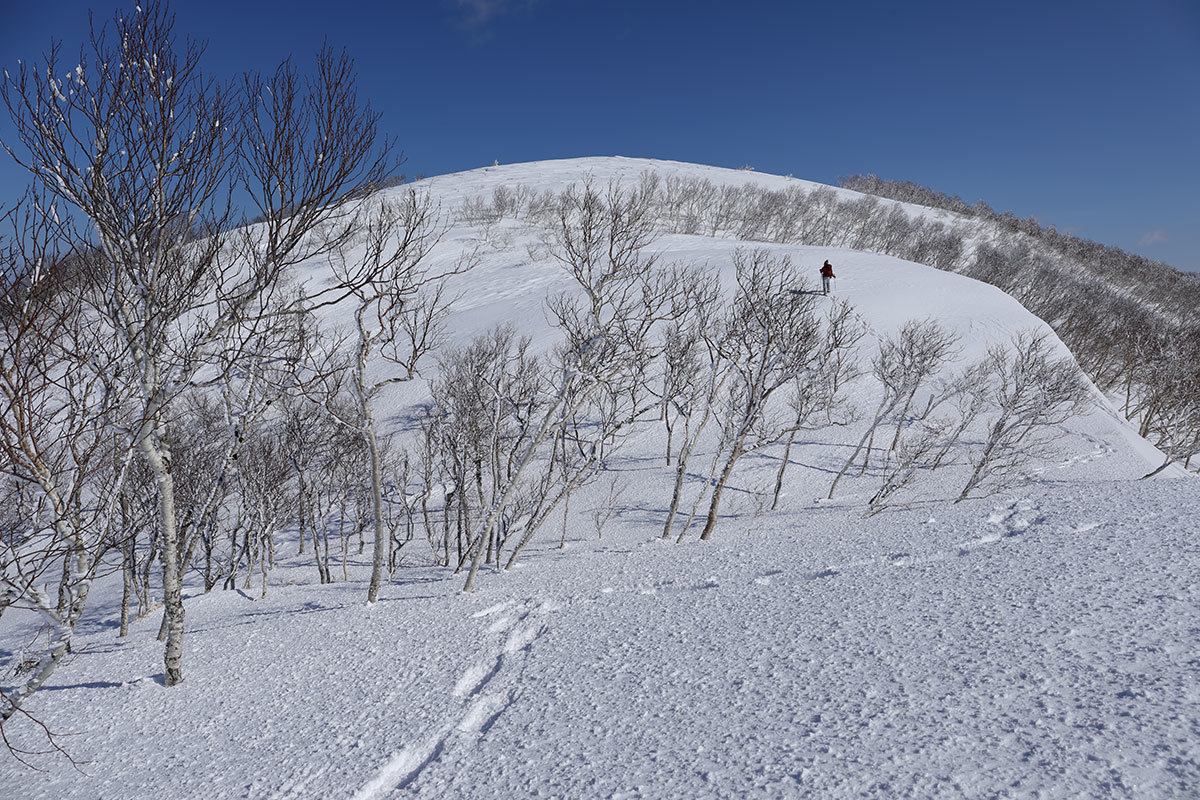 瑠辺斯岳　2017_f0054366_12213887.jpg