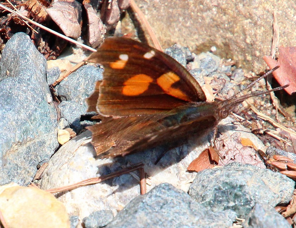 b0320769_17314101.jpg