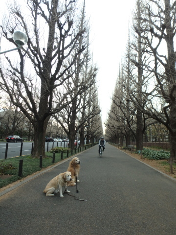 f0052277_02415476.jpg