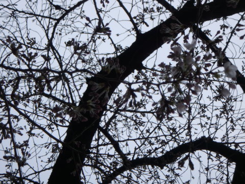 f0052277_02494421.jpg