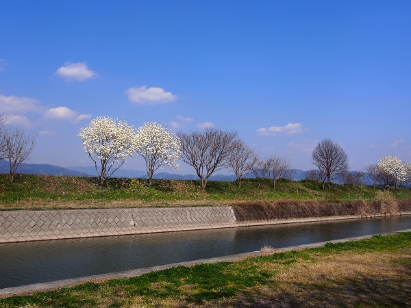 f0101679_04021.jpg