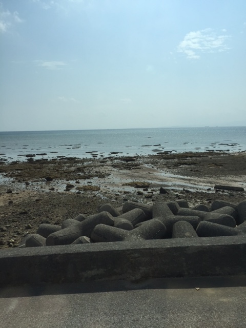 d0339681_17345200.jpg