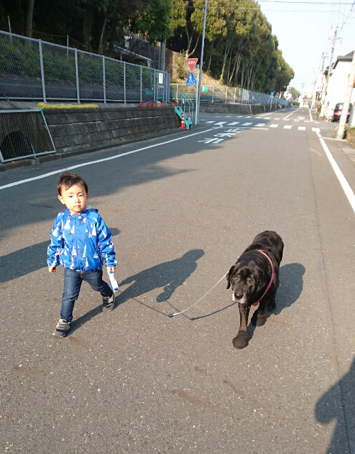 2017年 3月 琥太郎一家_c0176183_11243342.jpg