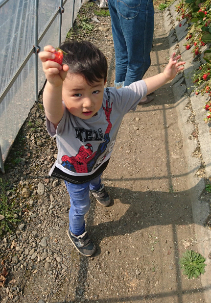 2017年 3月 琥太郎一家_c0176183_1125245.jpg