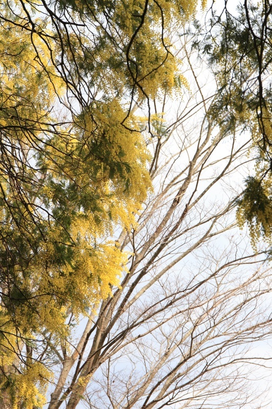 f0350585_01365707.jpg