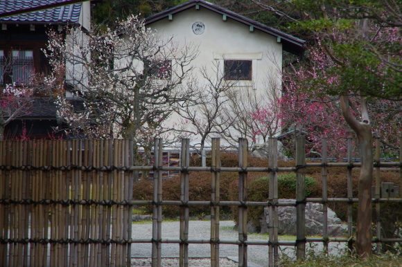 e0362689_21460579.jpg