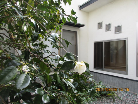 b0185592_165119.jpg