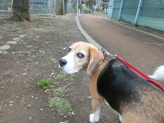a0319693_8473780.jpg